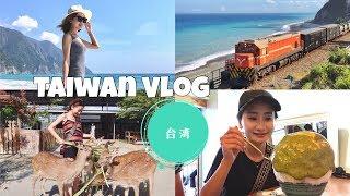 台湾Vlog 美食推荐！台北花莲垦丁高雄 8天环岛 跟我一起去旅行 TAIWAN VLOG 【Furry Mao】