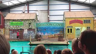 Knowsley Safari Park Sealion Show 2017