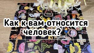 Как к вам относится человек?‍️Гадание пасьянс расклад онлайн бесплатно и без оплаты 200% точно