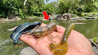 Fishing EXPERIMENT LIVE Bait vs. ARTIFICIAL Lures Creek Crawfish Edition