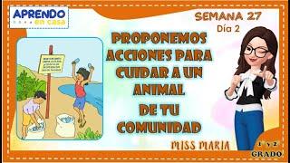 Proponemos acciones para cuidar a un animal de tu comunidad - 1° y 2° grado APRENDO EN CASA