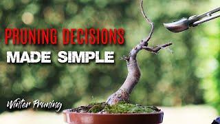 Bonsai tree pruning - making good branch pruning decisions