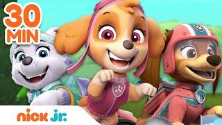 PAW Patrol Hero Pups to the Rescue w Liberty Skye & Everest  30 Minute Compilation  Nick Jr.