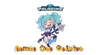 Paladins КТО ЧТО МЕЙНИТ o.O   ??