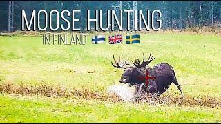 NH Hunt of the GIANT Bull Moose 2021