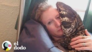 Lagarto gigante y su mamá tienen la relación más dulce  Almas Gemelas  El Dodo