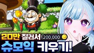 로아에서 『20만 지르면』 어디까지 갈까?ㅋㅋㅋ 【슈모익 20만 골드】