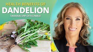 Dandelion  Benefits of Dandelion  Dr. J9 Live