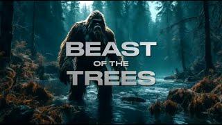 “Beast of the Trees”  2024 New Bigfoot Video Cinematic Sasquatch Presentation