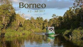House boat-Tour in the jungle of Borneo - Kalimantan - Indonesia