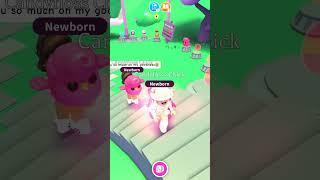 Giving People FREE CANDYFLOSS CHICKS in ADOPT ME  #adoptme #adoptmeshorts #adoptmepets #giveaway