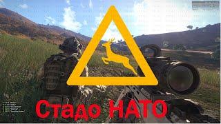 Гасим стадо НАТО - UTF  ARMA-3 03.03.2020