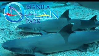 Oceanarium I Manila Ocean Park