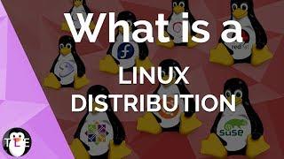Linux DISTRIBUTION  explained