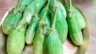 bengali veg food recipes।begun recipe @uttorbaari উত্তরবাড়ি