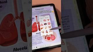 THIS iPad hack 🩷 iPadOS 17  iPad note taking  aesthetic digital notes