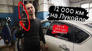 Лукойл GENESIS 5w40 на мощном мотореСПУСТЯ 12 000 км...