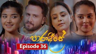 Paradeese  Episode 36 - 2024-09-16  ITN