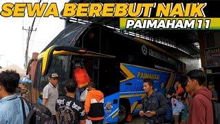 SEWA BEREBUT NAIK BUS‼️ PAIMAHAM 11 BERANGKAT MENUJU BENGKULU