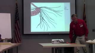 Master Gardener Course Eight Basic Rules of Botany