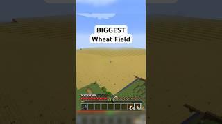 Harvesting ALL The Wheat At Once