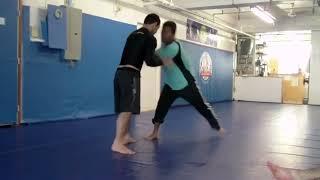 REAL Tai Chi Fighting vs. MMA BJJ Wrestling and more