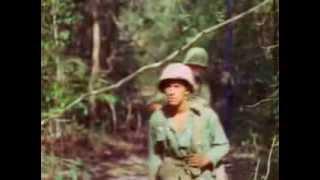 Battlefield Vietnam Part 412 - Showdown in the Iron Triangle