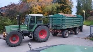 Fendt Favorit 612 LSA Turbomatik E in der Kartoffelernte. Grimme 150-60 Kartoffelroder Fendt 714 TMS