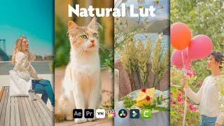 Natural Lut Free Download  Natural Lut Video Editing   VN Video Editor  VN Editor  Free Luts