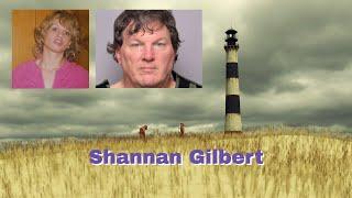 New witnesses tie Long Island Serial Killer Suspect Rex Heuermann to Shannan Gilbert & Karen Vergata