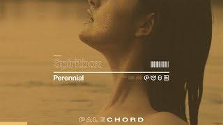 Spiritbox -   Perennial Official Music Video