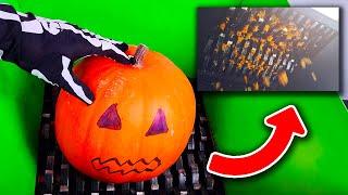 SHREDDING PUMPKIN   Satisfying ASMR Shredder Machine Compilation Halloween Special