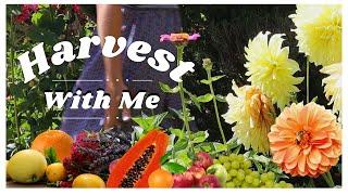 Relaxing Garden Work Day & Harvest With Me  Fruits Herbs & Cut Flowers