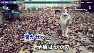 【カラオケ練習用】猫／DISH｜karaoke Neko - DISH