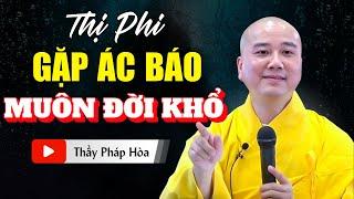 Vấn Đáp Hay Nhất THỊ PHI GẶP ÁC BÁO MUÔN ĐỜI KHỔ Không Nghe Tiếc 1 Đời  Thầy Pháp Hoà