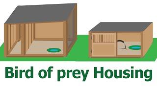 How to house a Bird of Prey  Where do Birds of Prey live  Where should i keep my hawk