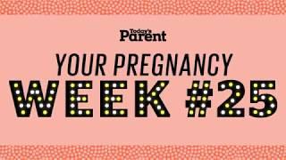 Your pregnancy 25 weeks