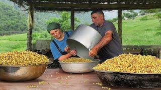 Harvesting Fresh Harvest From Trees Prepared Sweet White Mulberry Jam