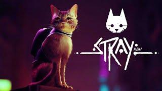 STRAY.  Прохождение игрыИграю впервые 2к видео.