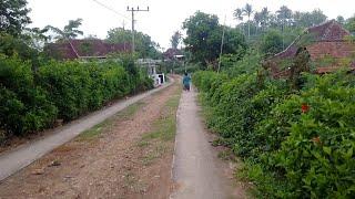 JALAN JALAN PAGI SUASANA PEDESAAN SUASANA KAMPUNG  BLITAR SELATAN