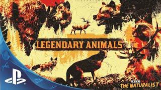 RDO Cross Fox Inahme Elk & Payta Bison Cut-Scenes Legendary Animals