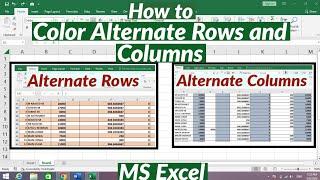 How to Apply Color to Alternate Rows And Columns in MS Excel  Apply shading To Alternate Rows