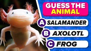 Guess The Animal  Easy Medium Hard & Impossible 