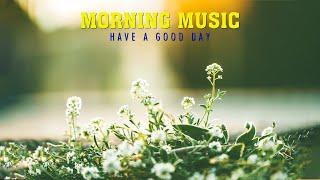 Morning Relaxing Music Will Put You In A Great Mood  Piano Music Positive Music Study Music