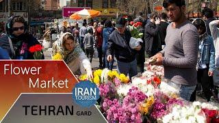 Tehrangard  Flower Market - مستند تهرانگرد  بازار گل