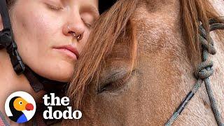 Woman Slowly Becomes Best Friends With An Anxious Wild Horse  The Dodo Faith = Restored