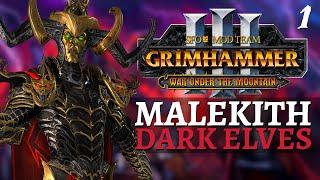 MISERY FOR ALL  SFO Immortal Empires - Total War Warhammer 3 - Dark Elves - Malekith #1