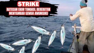 all must see the way of this one Indonesian angler when conquering schools of tuna