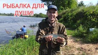 РЫБАЛКА в БЕЛАРУСИ на ФИДЕР. Рыбалка на реке Березина. Рыбалка для души. Фидерная ловля на Березине.