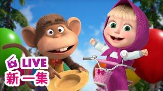  LIVE 瑪莎與熊 -  新 一集 ‍ 苦盡甘來    Masha and The Bear